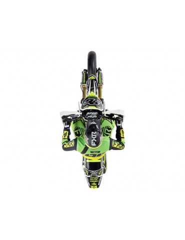 Losi 1/4 Promoto-SM RTR FXR