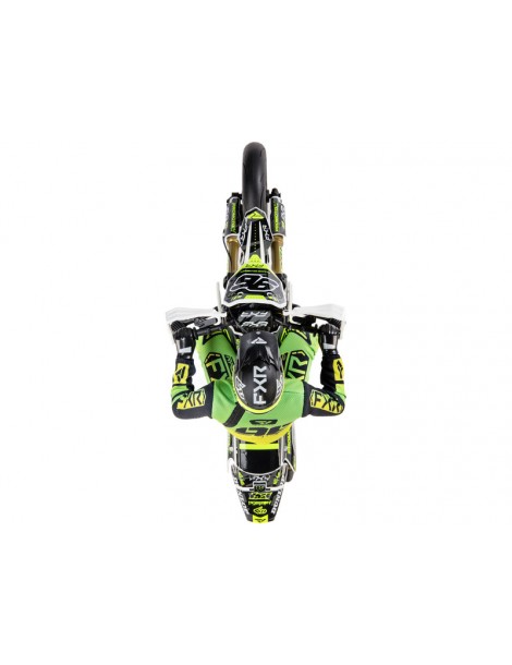 Losi 1/4 Promoto-SM RTR FXR