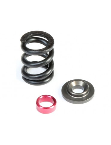 TLR HD Slipper Spring Set, SHDS