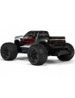 Arrma 1/10 Arrma Granite 223S BLX 4WD RTR DSC steel