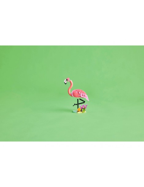 LLEGO Creator - Laukiniai gyvūnai: rožinis flamingas