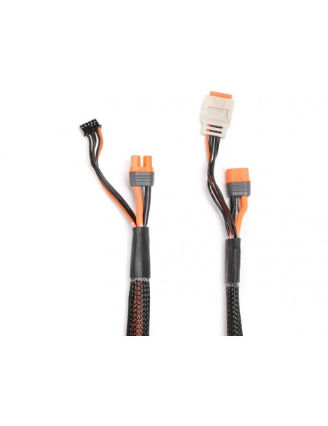 Spektrum Charge Lead with Balance Extension 24" IC3, 2-4S