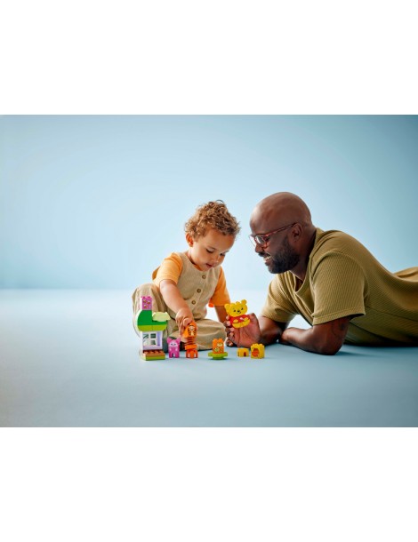 LEGO DUPLO - Disney - Mikės Pūkuotuko gimtadienio šventė