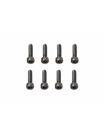 M2.5 x 10 mm šešiakampio lizdo galvutės varžtai