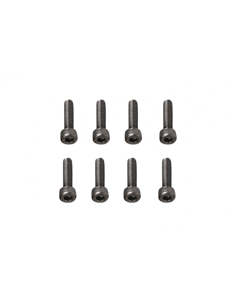 M2.5 x 10 mm šešiakampio lizdo galvutės varžtai