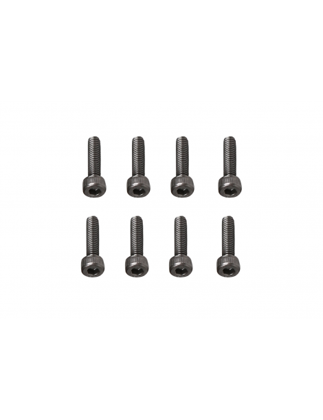 M2.5 x 10 mm šešiakampio lizdo galvutės varžtai