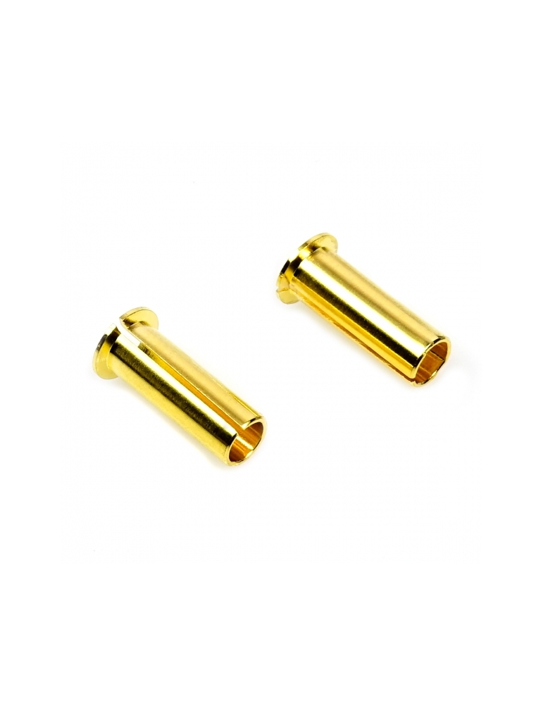 Muchmore 5 mm į 4 mm euro jungties konversijos Bullet reduktorius (2 vnt.)