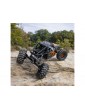 Axial 1/10 Capra 1.9 4WS RTR Orange