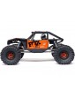 Axial 1/10 Capra 1.9 4WS RTR Orange