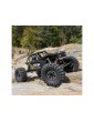 Axial 1/10 Capra 1.9 4WS RTR Yellow