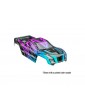 Traxxas Body, Mini Maxx, ProGraphix