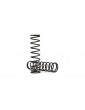 Traxxas Springs, shock (natural finish) (GTX) (4.003 rate) (2)