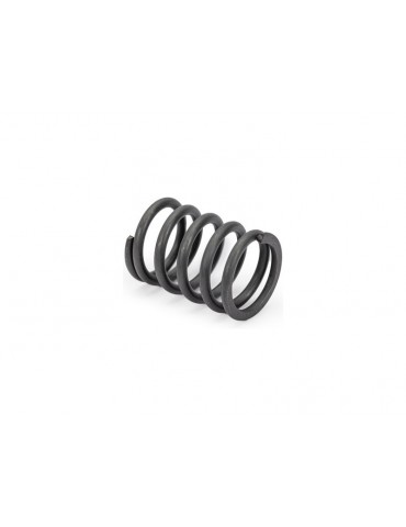 Traxxas Servo saver spring