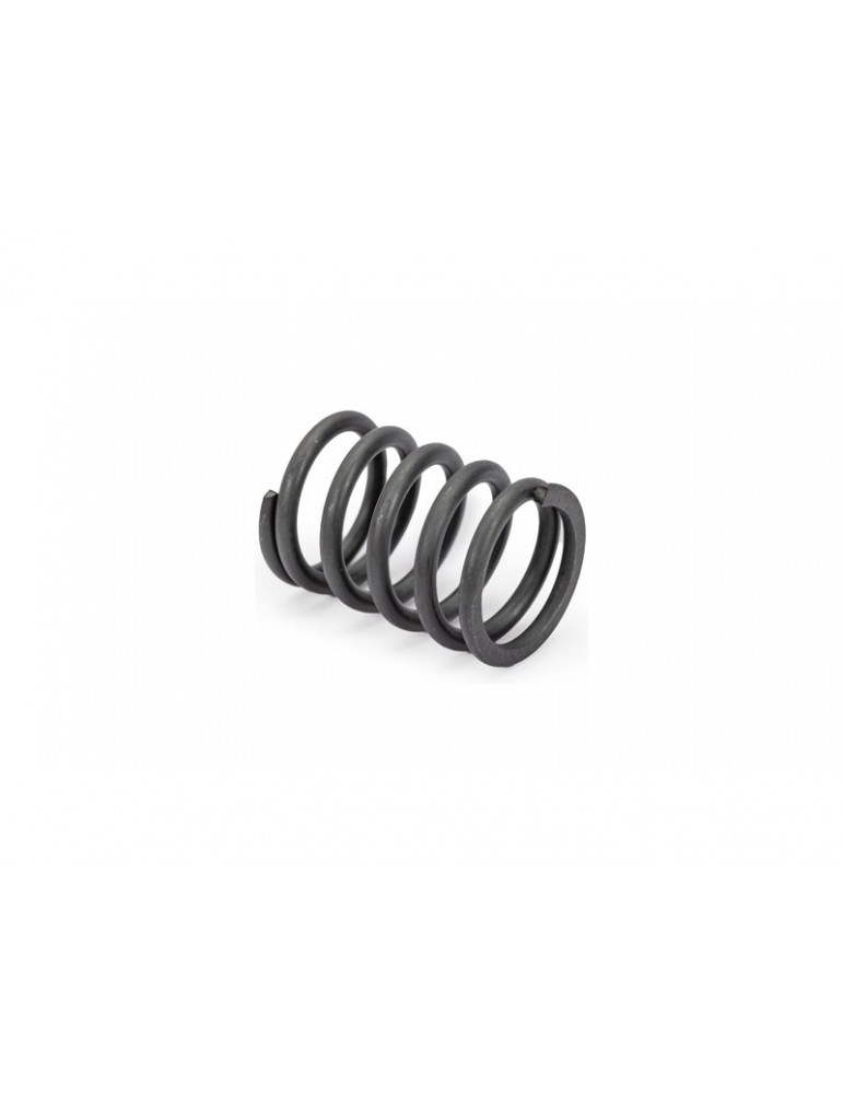 Traxxas Servo saver spring