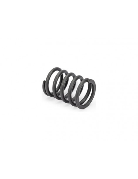 Traxxas Servo saver spring
