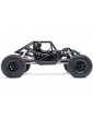 RC modelis Axial 1/8 AXP8 Gilamon 2.2 4WD RTR žalia