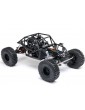 RC modelis Axial 1/8 AXP8 Gilamon 2.2 4WD RTR žalia