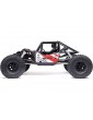 RC modelis Axial 1/8 AXP8 Gilamon 2.2 4WD RTR raudona