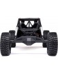 RC modelis Axial 1/8 AXP8 Gilamon 2.2 4WD RTR raudona