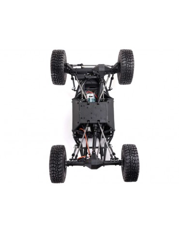 RC modelis Axial 1/8 AXP8 Gilamon 2.2 4WD RTR raudona