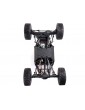 RC modelis Axial 1/8 AXP8 Gilamon 2.2 4WD RTR raudona