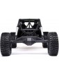RC modelis Axial 1/8 AXP8 Gilamon 2.2 4WD RTR raudona