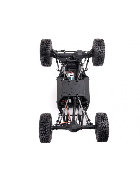 RC modelis Axial 1/8 AXP8 Gilamon 2.2 4WD RTR raudona
