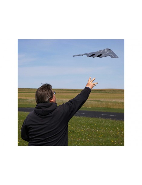 E-flite Micro B-2 Spirit Twin 30mm EDF BNF Basic