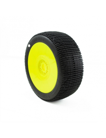 PROCIRCUIT TRIGON V3 1/8 Buggy padangos C1 Super Soft, suklijuotos (2)
