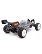 Buggy 4WD Hobbytech BXR.S2 kit