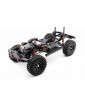 DESERT FOX 1/10 set 2,4GHz, Yellow