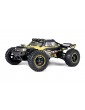 RC modelis Smyter DT Turbo 1/12 4WD 3S Brushless - Geltonas
