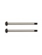 B74/B7 Rear Hub Hinge Pins