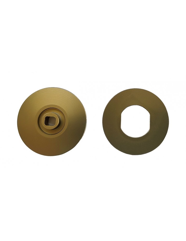 B74.1 3 Pad Slipper Hubs, front