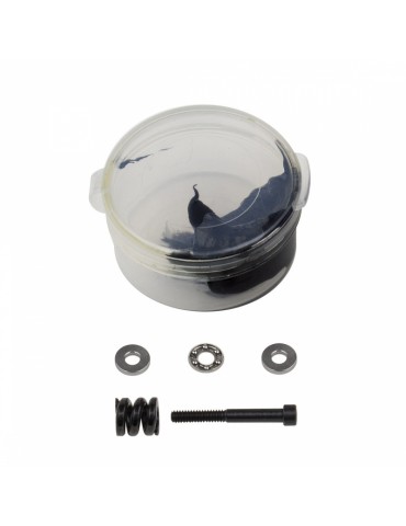B74.2 FT Decoupled Slipper Thrust Bearing Rebuild Set