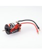 RUDDOG Crawler 16T 5-Slot Brushed Motor
