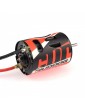 RUDDOG Cup 23T 3-Slot Brushed Motor