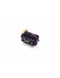 XERUN D10 13.5T - purple