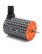 Brushless Motor 3652SL / 4600 KV 1/10