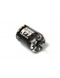 N22 Stock Spec 21.5T - 30 Fixed Timing