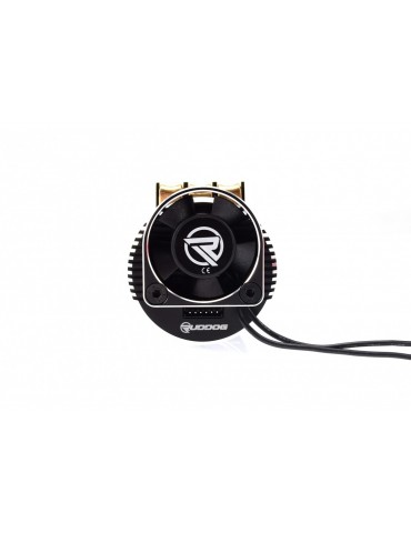 RP691 1800KV 1/8 Sensored Competition Brushless Motor