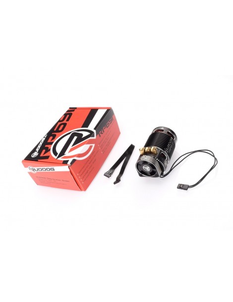 RP691 1800KV 1/8 Sensored Competition Brushless Motor