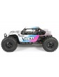 AX31174 Y-380 1/10 Body .040 Pre-Painted Yeti