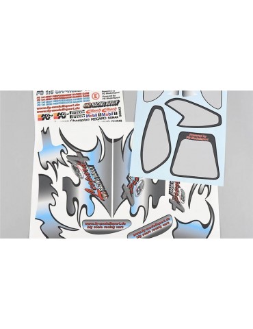 Model stickers Leopard 4, RTR, set