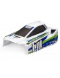 Painted body EB10 buggy White