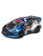 Painted Rally body with decals (ION RX)
