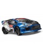 Painted Rally body with decals (ION RX)