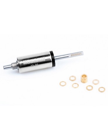 N22 STOCK SPEC 12.3mm WORKSTEAM ROTOR
