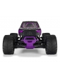 Arrma Gorgon 1/10 RTR violetinis RC monster truck modelis su 550 varikliu