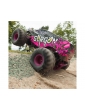 Arrma Gorgon 1/10 RTR violetinis RC monster truck modelis su 550 varikliu